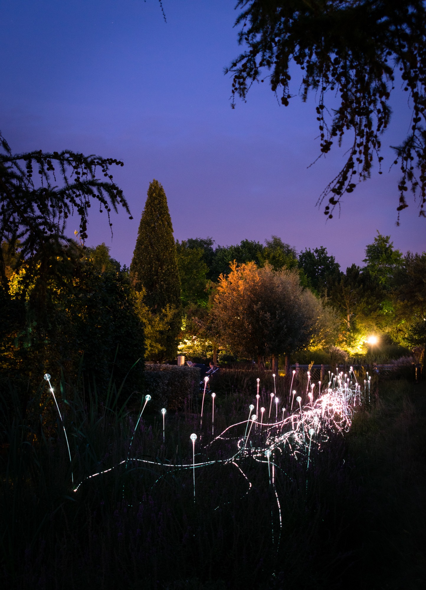 37+ Illumination Lange Abende Im Park Park Der Gärten 29 August,