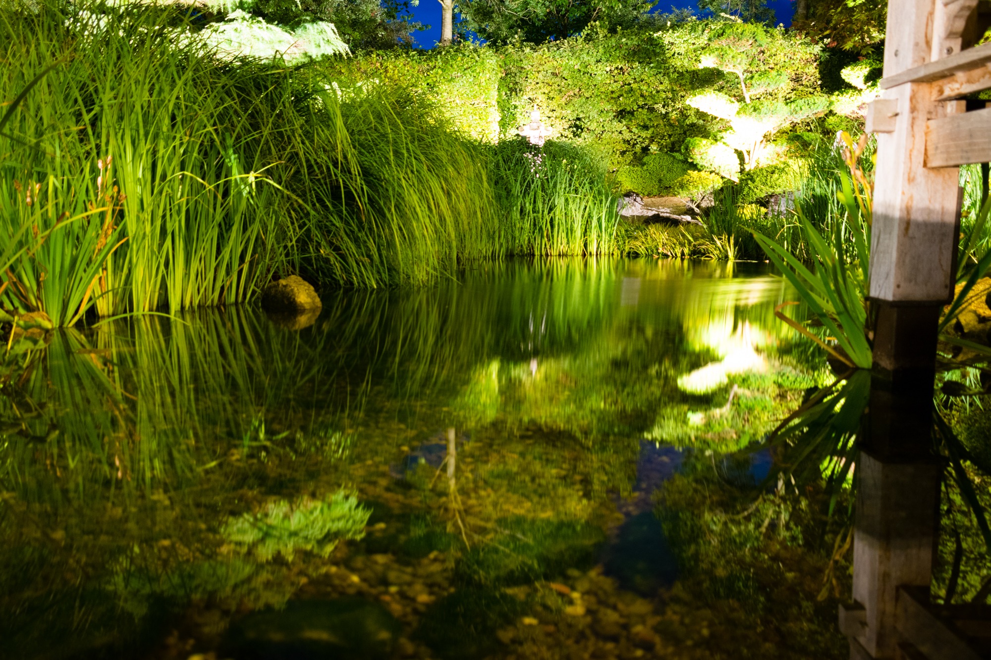57+ Illumination Park Der Gärten, Tausende lichtquellen hüllen den